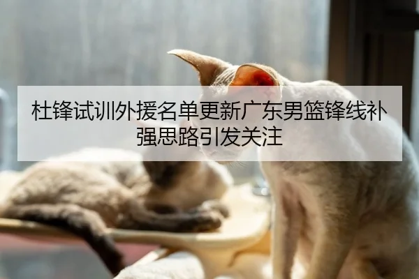 杜锋试训外援名单更新广东男篮锋线补强思路引发关注